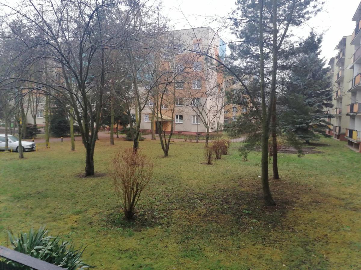 Apartament Terebelska P Biała Podlaska Kültér fotó
